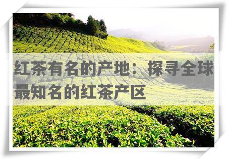 红茶有名的产地：探寻全球最知名的红茶产区