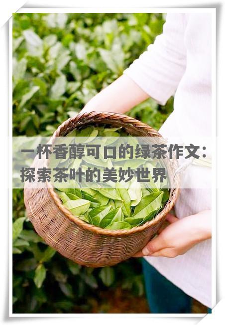一杯香醇可口的绿茶作文：探索茶叶的美妙世界