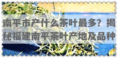 南平市产什么茶叶最多？揭秘福建南平茶叶产地及品种