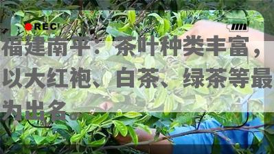 福建南平：茶叶种类丰富，以大红袍、白茶、绿茶等最为出名。