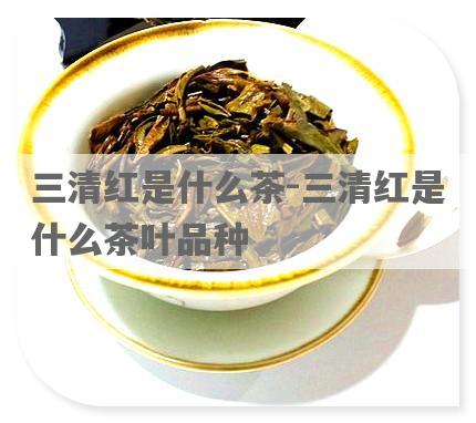 三清红是什么茶-三清红是什么茶叶品种