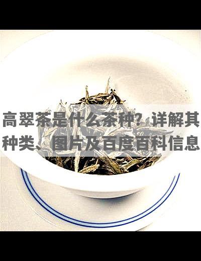 高翠茶是什么茶种？详解其种类、图片及百度百科信息