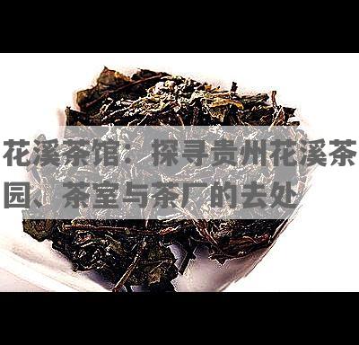 花溪茶馆：探寻贵州花溪茶园、茶室与茶厂的去处