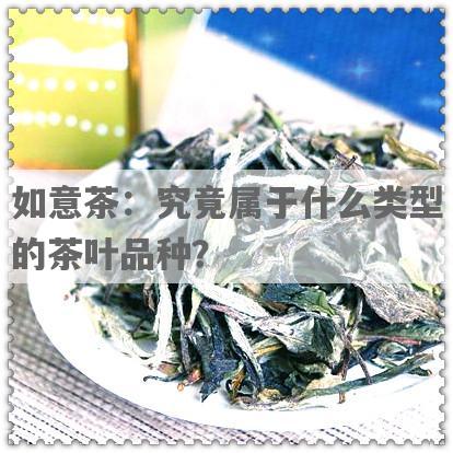 如意茶：究竟属于什么类型的茶叶品种？