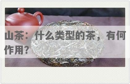 山茶：什么类型的茶，有何作用？