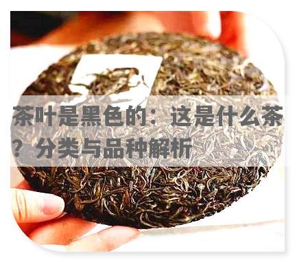 茶叶是黑色的：这是什么茶？分类与品种解析