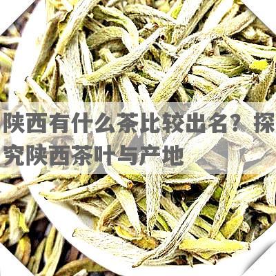 陕西有什么茶比较出名？探究陕西茶叶与产地