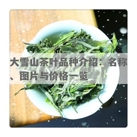 大雪山茶叶品种介绍：名称、图片与价格一览