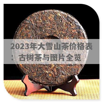 2023年大雪山茶价格表：古树茶与图片全览