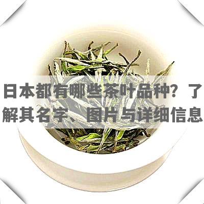 日本都有哪些茶叶品种？了解其名字、图片与详细信息