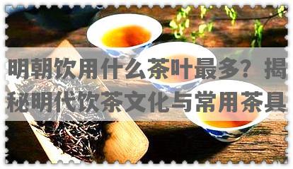 明朝饮用什么茶叶最多？揭秘明代饮茶文化与常用茶具