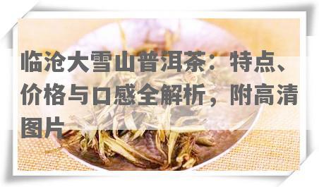 临沧大雪山普洱茶：特点、价格与口感全解析，附高清图片