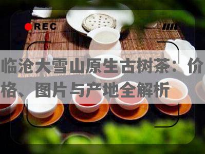 临沧大雪山原生古树茶：价格、图片与产地全解析