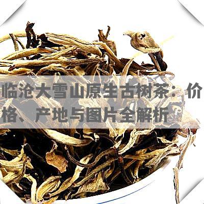 临沧大雪山原生古树茶：价格、产地与图片全解析