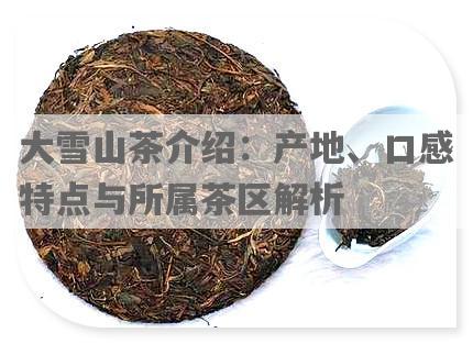 大雪山茶介绍：产地、口感特点与所属茶区解析