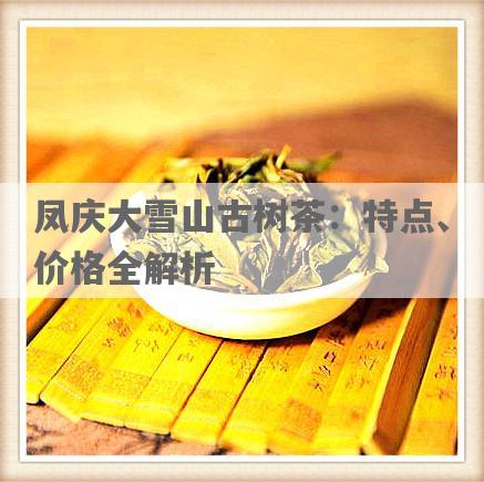 凤庆大雪山古树茶：特点、价格全解析