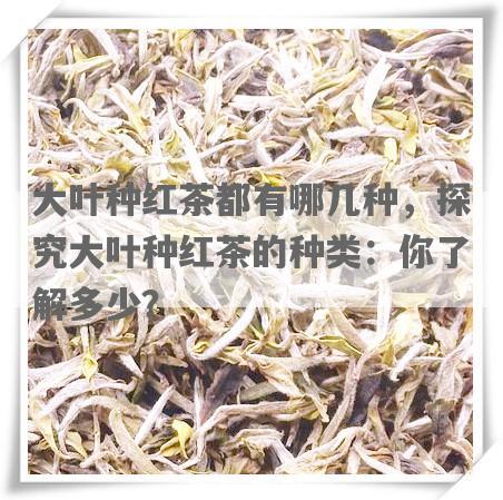 大叶种红茶都有哪几种，探究大叶种红茶的种类：你了解多少？
