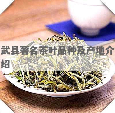 武县著名茶叶品种及产地介绍