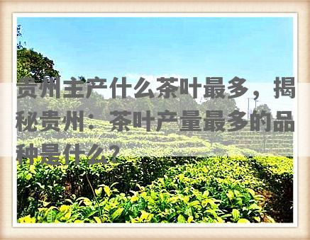贵州主产什么茶叶最多，揭秘贵州：茶叶产量最多的品种是什么？