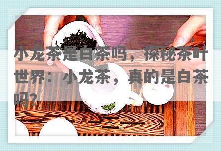 小龙茶是白茶吗，探秘茶叶世界：小龙茶，真的是白茶吗？