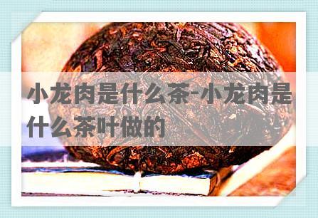 小龙肉是什么茶-小龙肉是什么茶叶做的