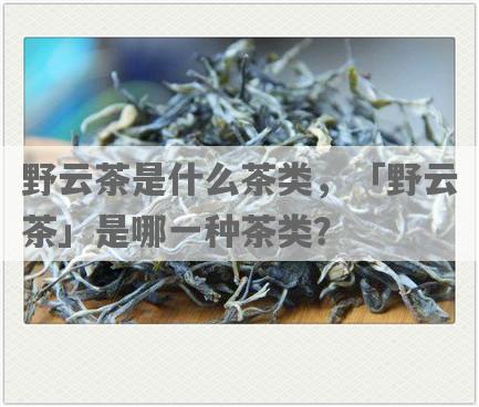 野云茶是什么茶类，「野云茶」是哪一种茶类？