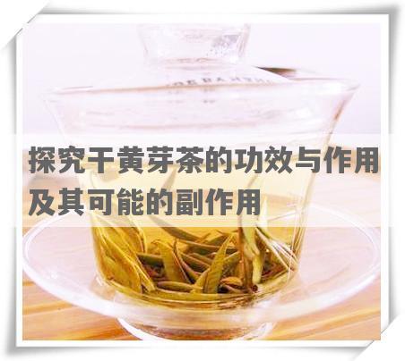 探究干黄芽茶的功效与作用及其可能的副作用