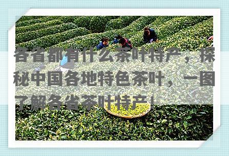各省都有什么茶叶特产，探秘中国各地特色茶叶，一图了解各省茶叶特产！