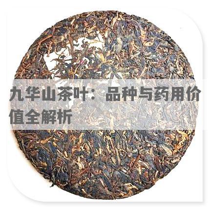 九华山茶叶：品种与药用价值全解析
