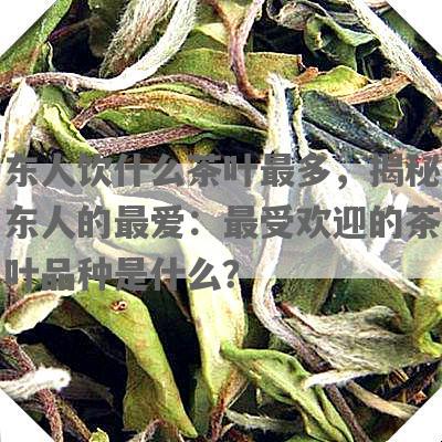 东人饮什么茶叶最多，揭秘东人的更爱：更受欢迎的茶叶品种是什么？