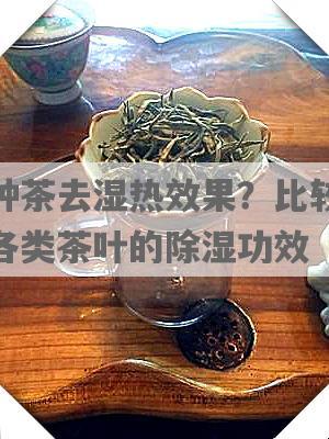 哪种茶去湿热效果？比较分析各类茶叶的除湿功效