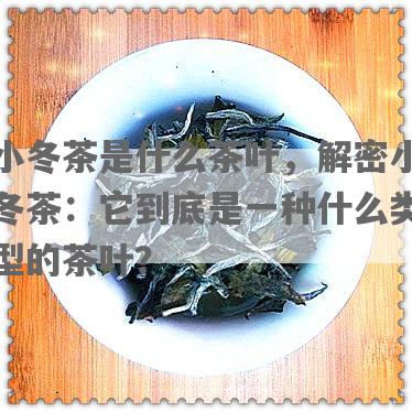 小冬茶是什么茶叶，解密小冬茶：它到底是一种什么类型的茶叶？