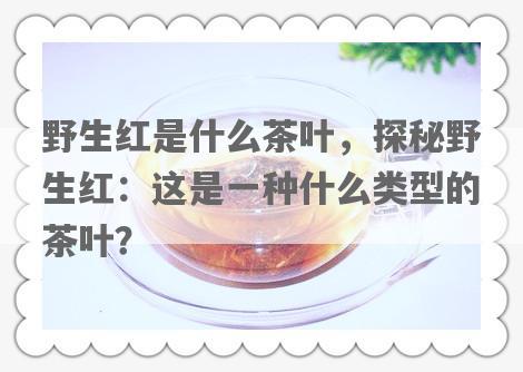 野生红是什么茶叶，探秘野生红：这是一种什么类型的茶叶？