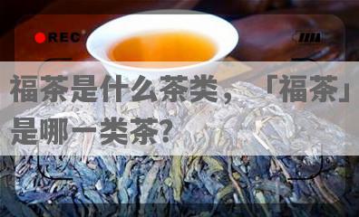 福茶是什么茶类，「福茶」是哪一类茶？