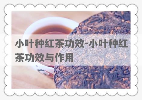 小叶种红茶功效-小叶种红茶功效与作用