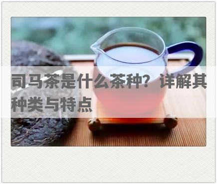 司马茶是什么茶种？详解其种类与特点