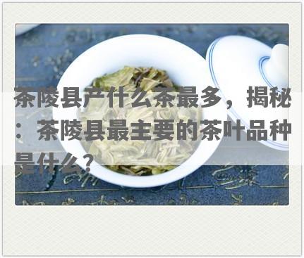茶陵县产什么茶最多，揭秘：茶陵县最主要的茶叶品种是什么？