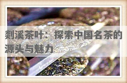 剡溪茶叶：探索中国名茶的源头与魅力
