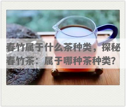 春竹属于什么茶种类，探秘春竹茶：属于哪种茶种类？
