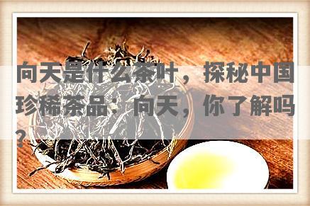 向天是什么茶叶，探秘中国珍稀茶品：向天，你了解吗？