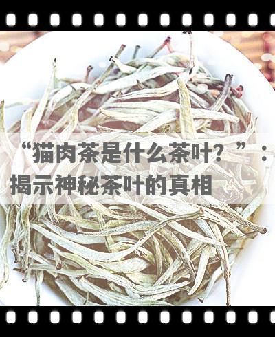 “猫肉茶是什么茶叶？”：揭示神秘茶叶的真相