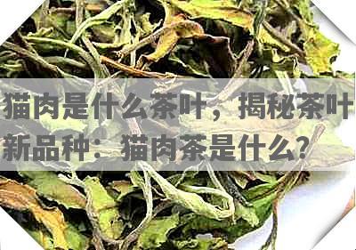 猫肉是什么茶叶，揭秘茶叶新品种：猫肉茶是什么？