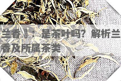 兰香嵉：是茶叶吗？解析兰香及所属茶类