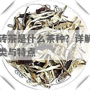 藏砖茶是什么茶种？详解其分类与特点