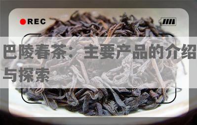 巴陵春茶：主要产品的介绍与探索
