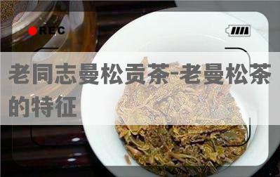 老同志曼松贡茶-老曼松茶的特征