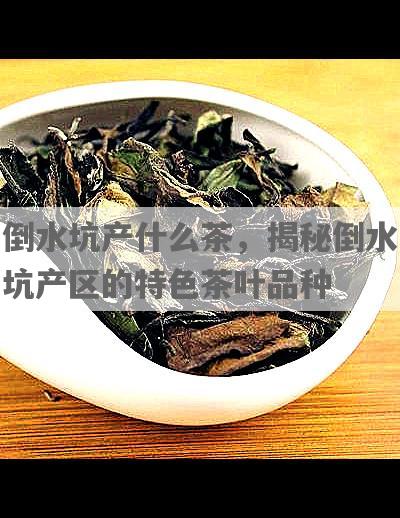 倒水坑产什么茶，揭秘倒水坑产区的特色茶叶品种