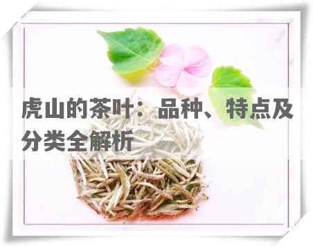 虎山的茶叶：品种、特点及分类全解析
