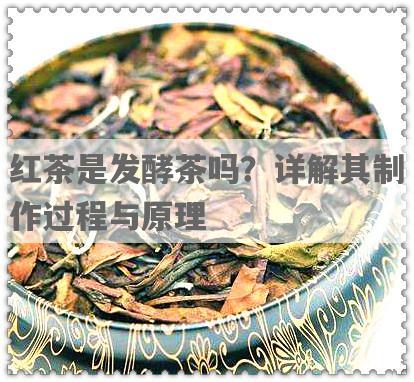 红茶是发酵茶吗？详解其制作过程与原理