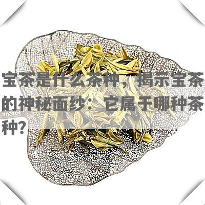 宝茶是什么茶种，揭示宝茶的神秘面纱：它属于哪种茶种？
